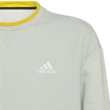 adidas Pullover Crew Fleece All SZN Sweatshirt lnianowa zieleń dla chłopców